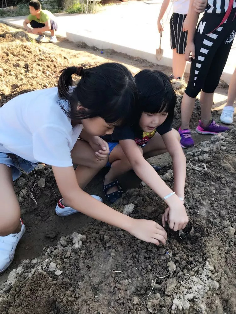 劳动特色双山小学田间之乐奏响新学期的种植序曲