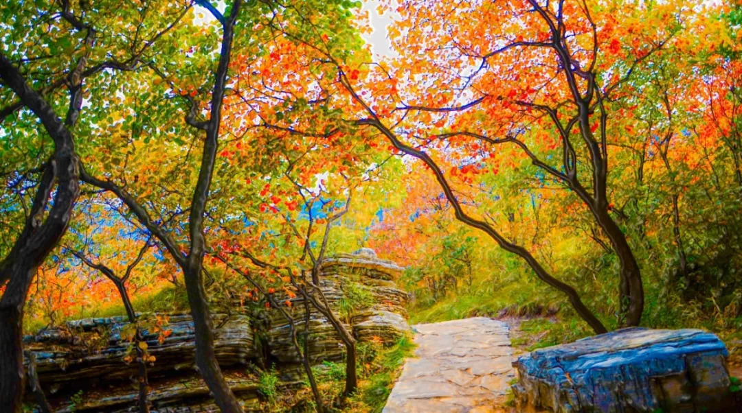 秋游好去处!北京有哪些名山胜景藏着最美的秋天?