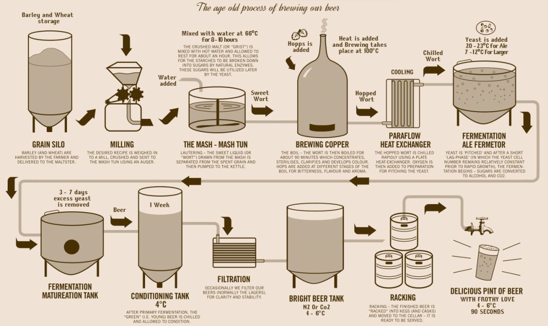 过滤,煮沸加酒花,旋沉)麦汁发酵(降温接种酵母),啤酒灌装等主要过程
