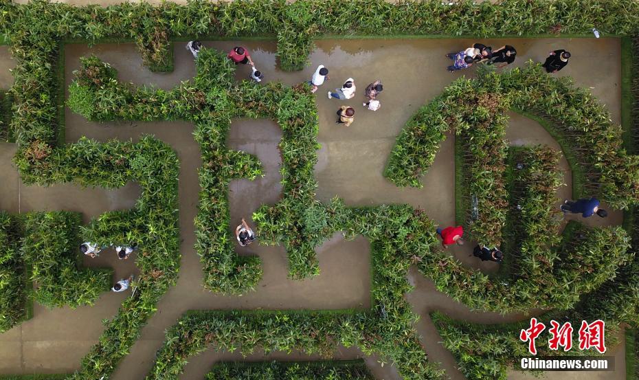 江蘇揚州一體育公園近千平方