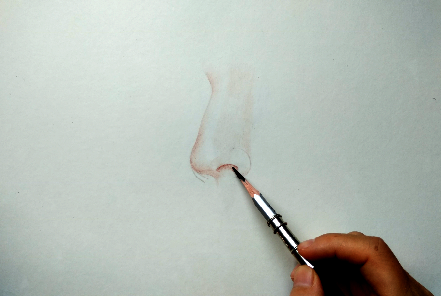先用铅笔起形,再用彩铅描边将鼻子各部分细节刻画清楚