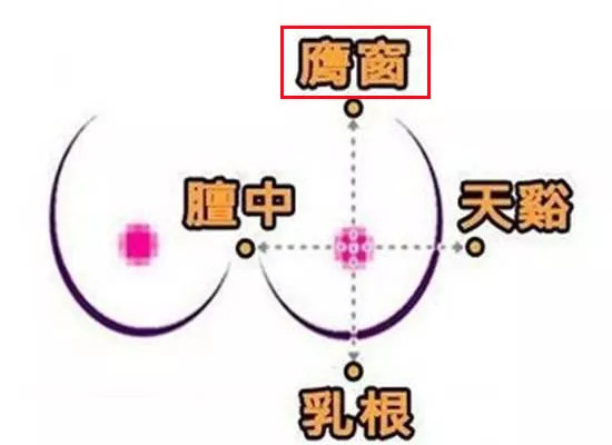 膺窗穴——宽胸理气,消痈止痛