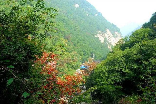 洛陽花果山國家森林公園獼猴迴歸暨2018金秋紅葉旅遊推介會召開