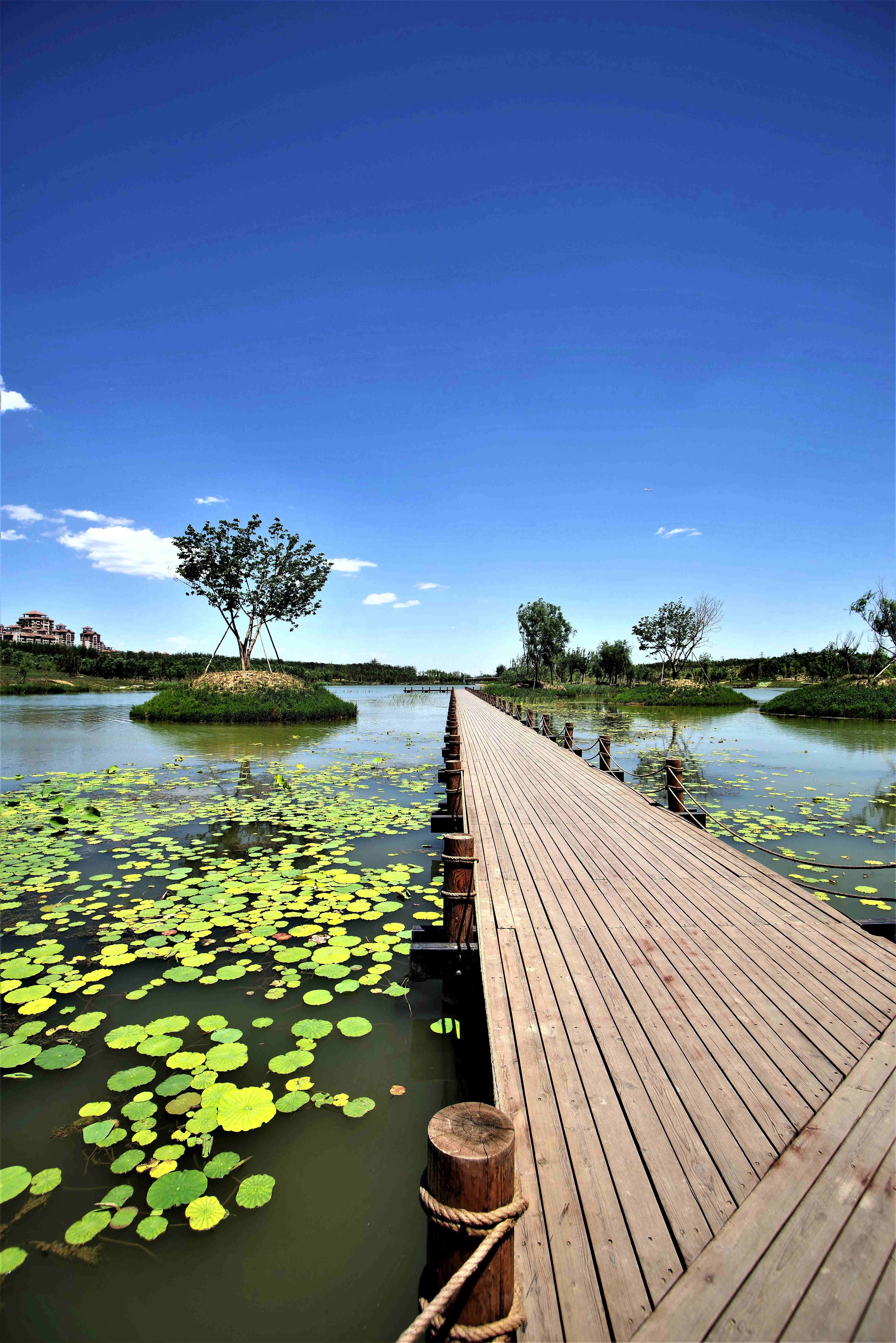 马家湾湿地公园图片图片