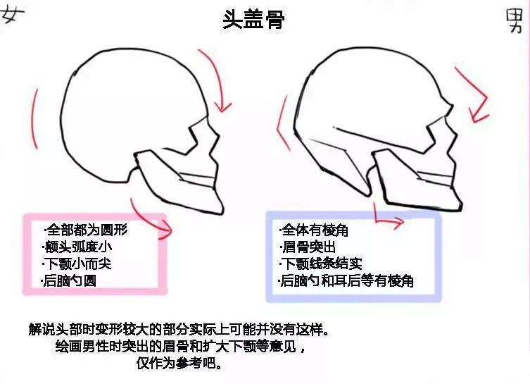 畫畫也是這樣啊!繪畫中這些男女差異你知道嗎?