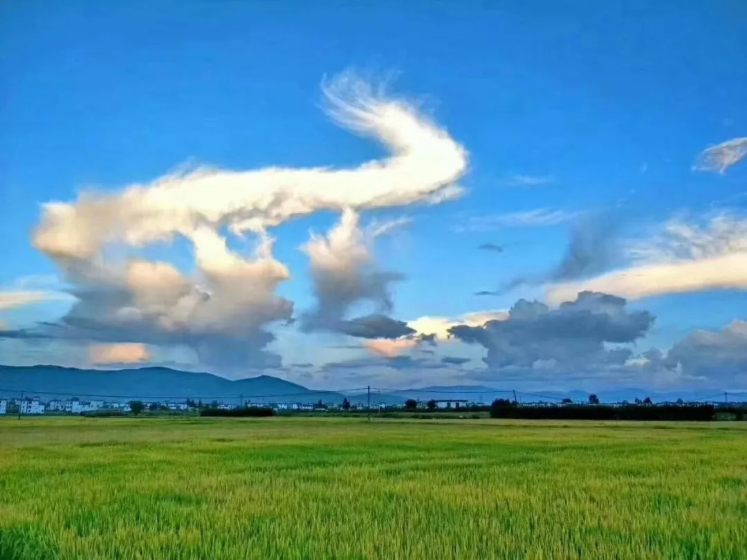 山竹登陸華南沿海飛龍出現大理上空神雲奇觀千年難得一見