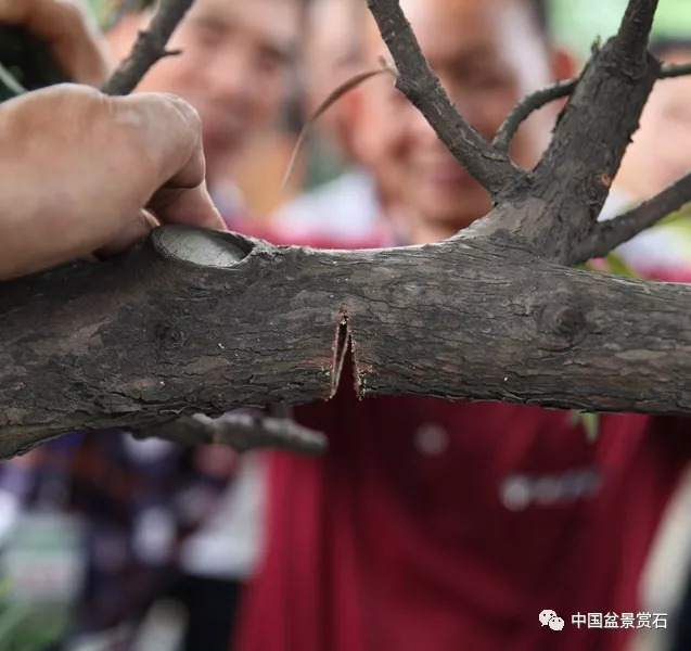 拿弯原来可以这么干!