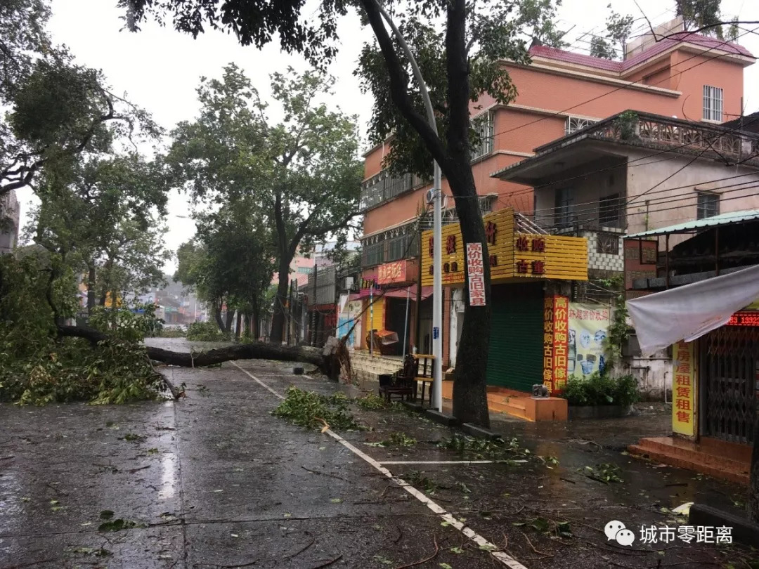 台风科罗旺图片