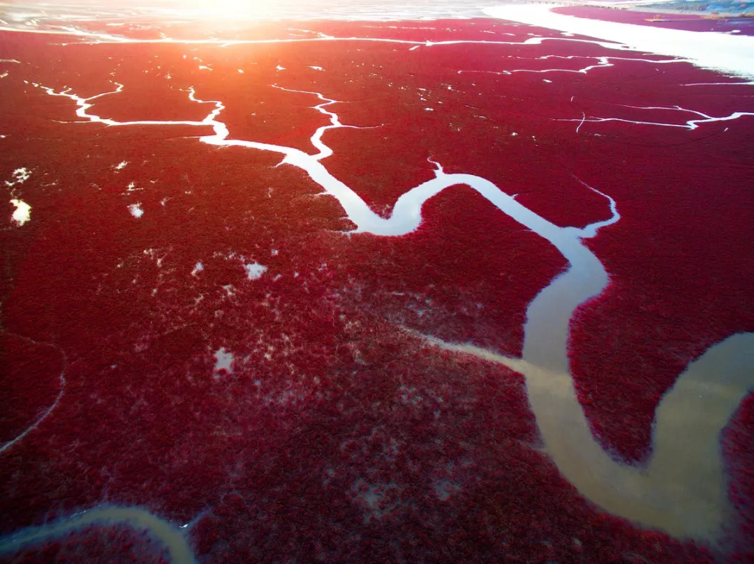 红色的大海海水图片