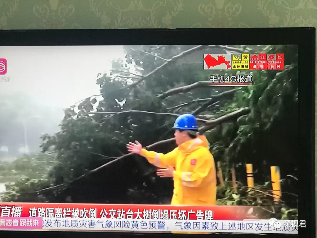 电视新闻中,记者在狂风暴雨中,报道台风的威力.