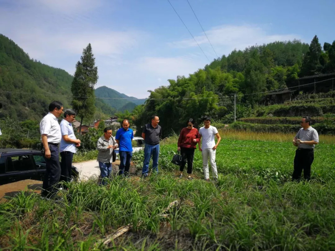 目的是为地宝土家族乡黄花参与到此次行动中来,三峡都市报社,万州电视