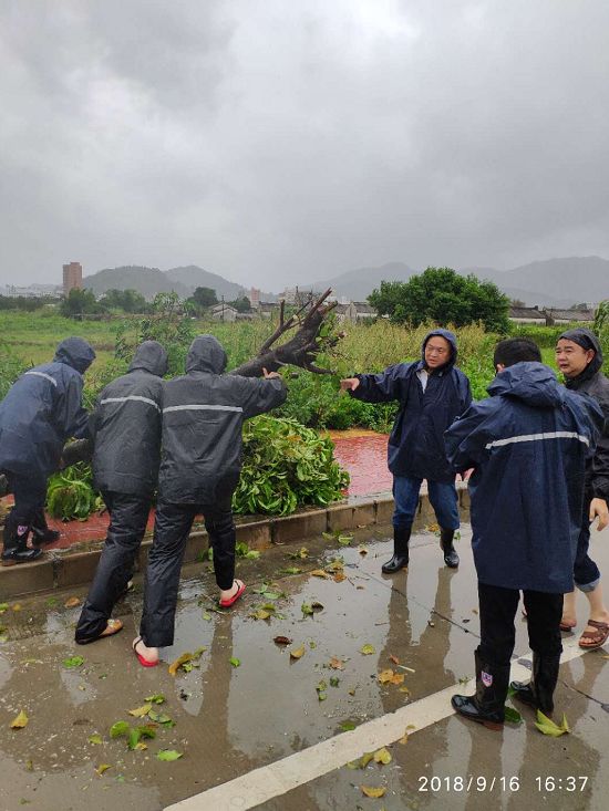 普宁大南山疫情图片