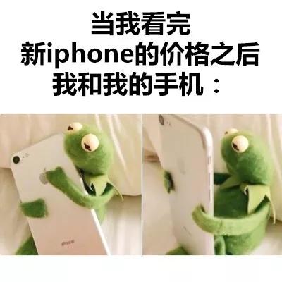 iphonexs和iphonexsmax搞笑表情包图片20张