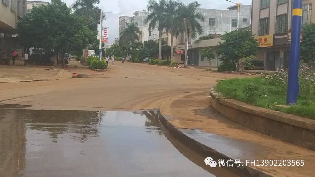 广东雷州英利街头垃圾满地飞舞臭气熏天卫生环境如此杂乱谁来管