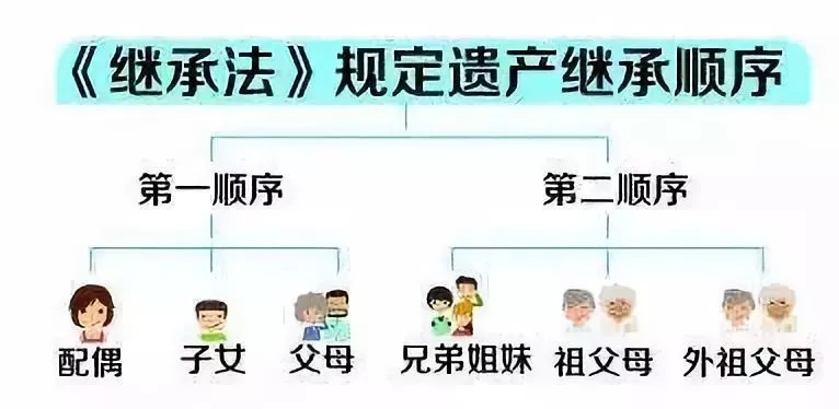 依照法律的规定,由继承人按继承顺序,继承份额进行继承