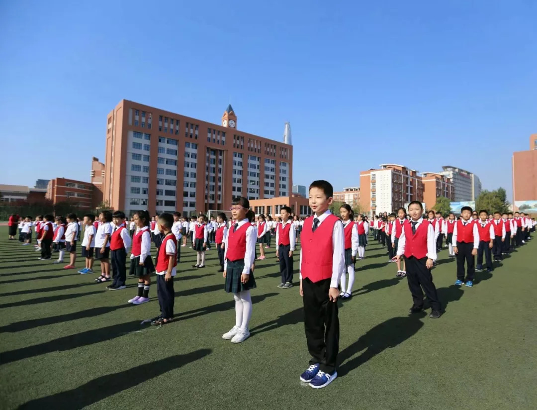 小学校区做文明小枫叶代言人绽放光彩记泰达枫叶小学第二届学生会成立