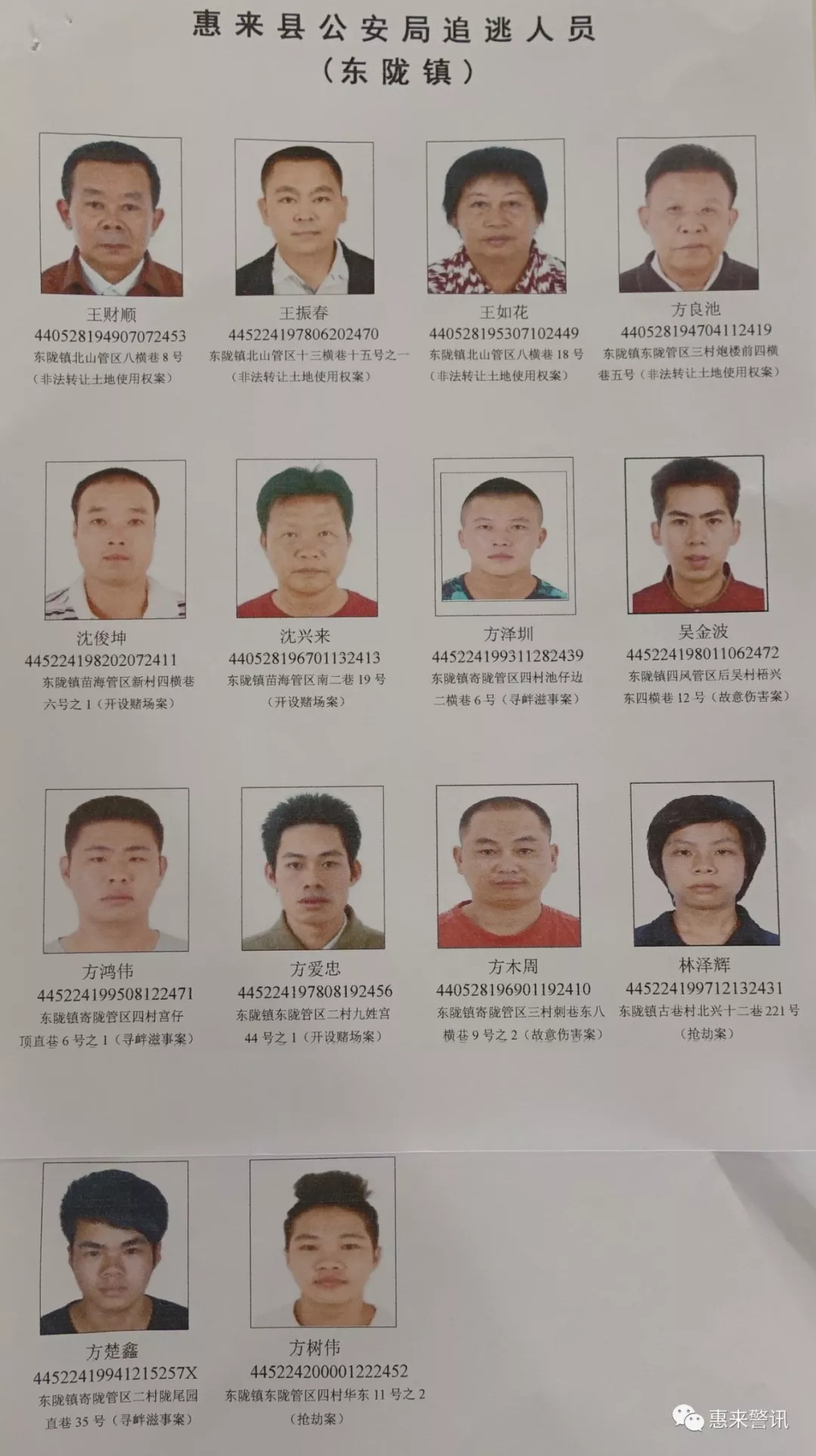 广东惠来县方泽强图片