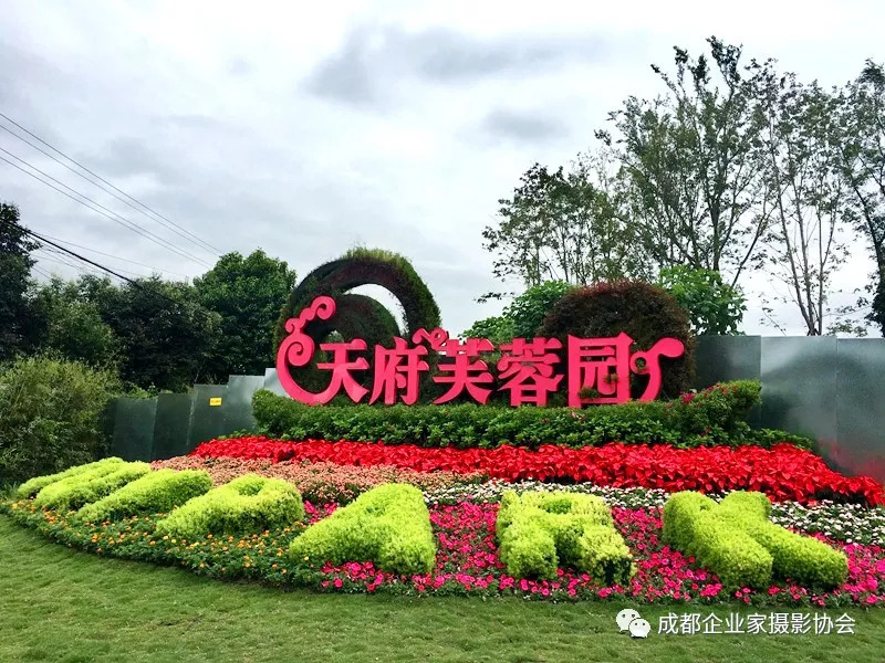 成都天府芙蓉園首秀2018簡單生活節,萬餘名民眾暢享音樂饕餮宴_文化