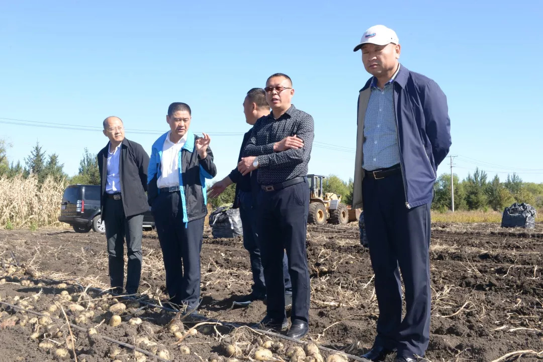 9月18日,农场场长马曙光就当前农业生产,马铃薯收获,项目建设,供暖