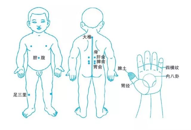 儿童脾经的准确位置图图片
