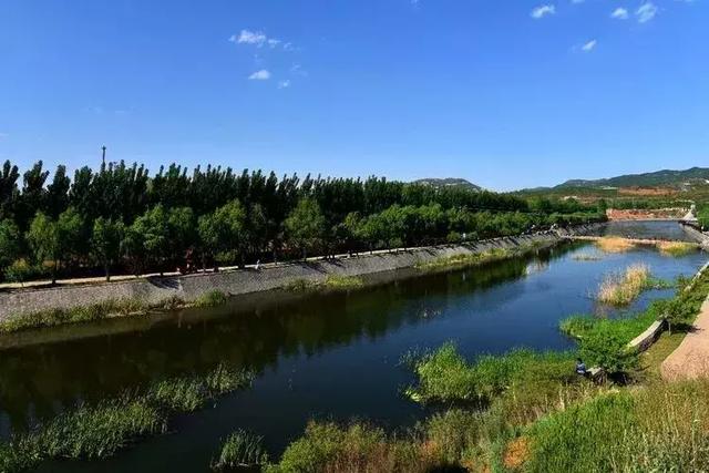 50張美圖帶你走進澤州丹河溼地的春夏秋冬