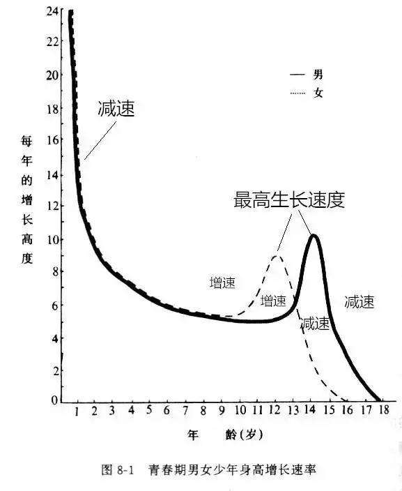 了解孩子身高增长曲线的重要性