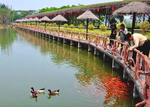 約上朋友帶上親人一起來嗨~|青嵐國家級地質公園,aaaa綠島山莊一天遊