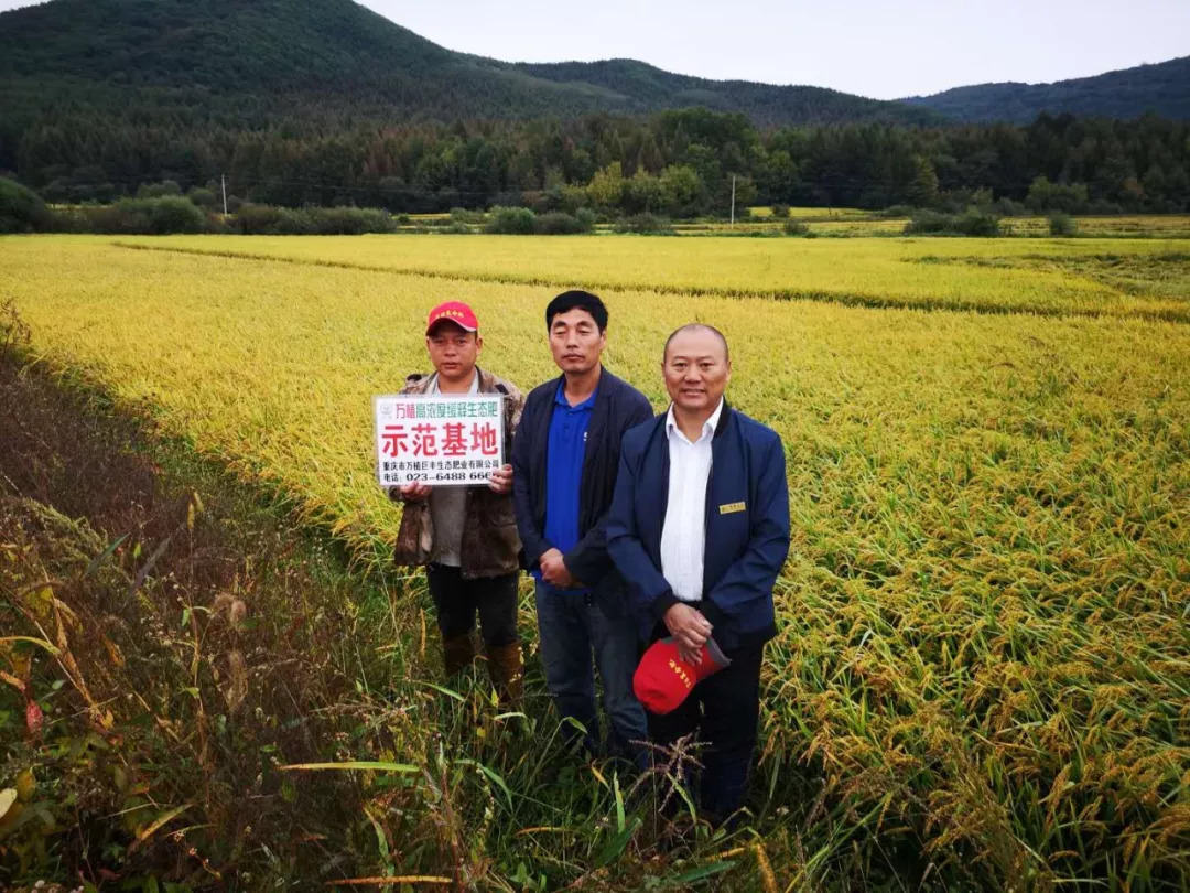 珲春万植图片