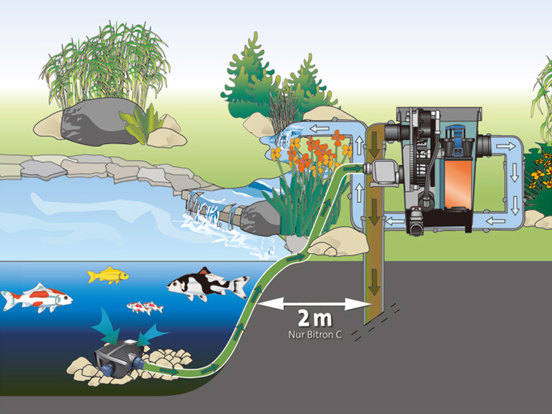 锦鲤鱼池过滤设备,鱼池过滤系统怎么正确选择?