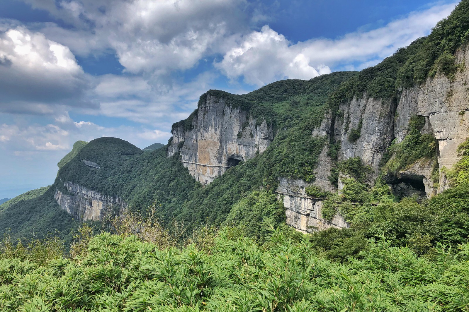 金光岭南风景图片