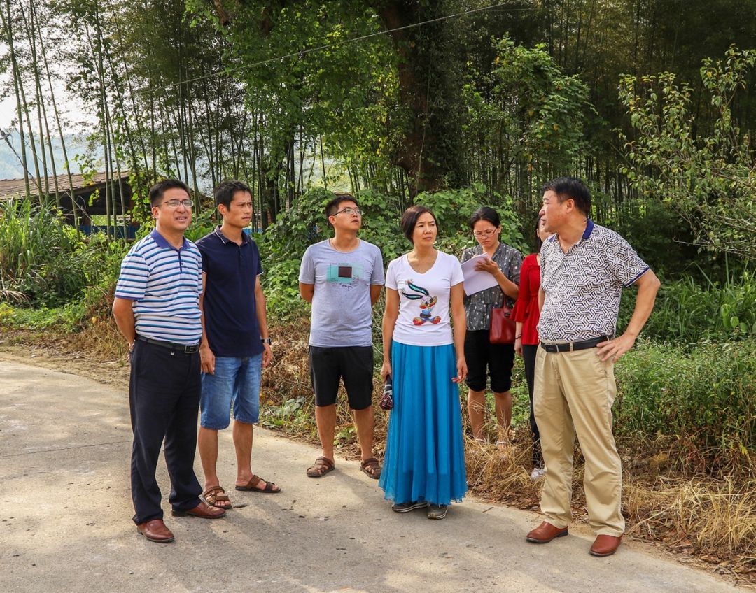 林音荟萃12华桐树造林受上级关注常青树微视频获奖加强候鸟保护省际