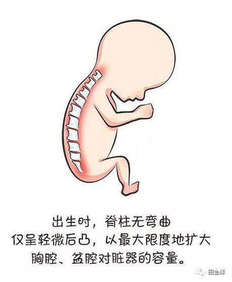不可忽视的宝宝脊柱健康!你知道多少?