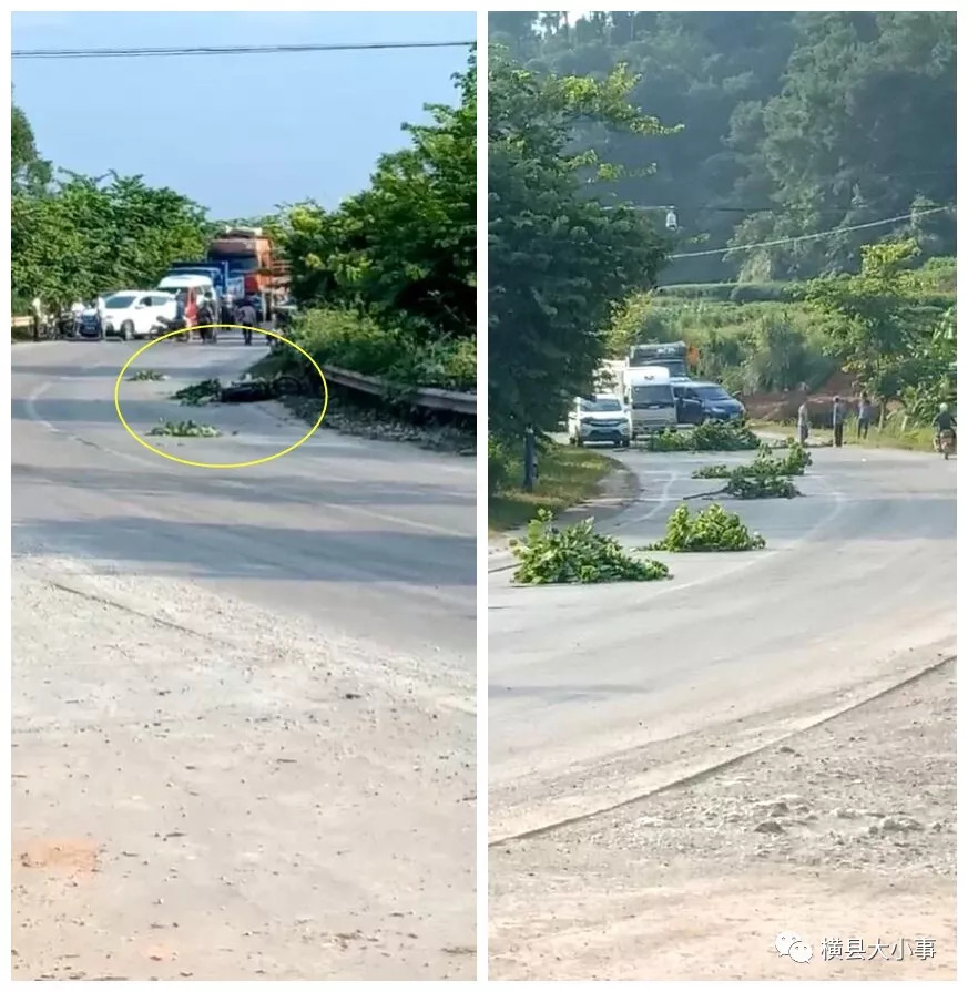 横县那阳镇闭青云图片