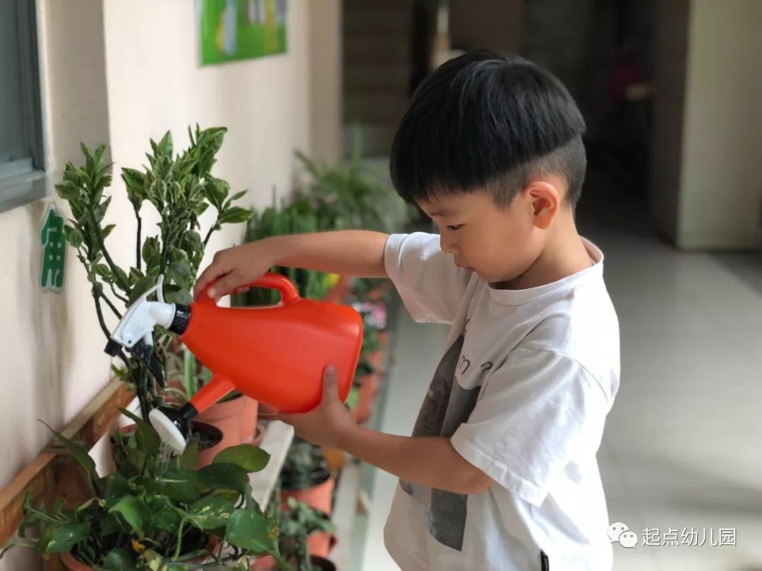 虽然每次浇花