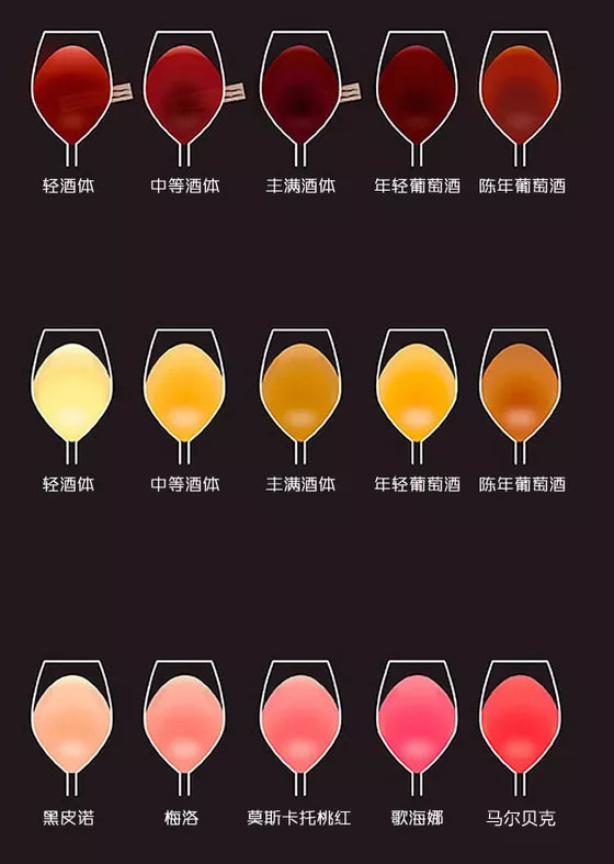 九张图教你变葡萄酒专家