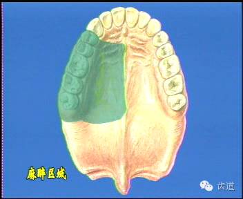 七種常用口腔阻滯麻醉的方法大全_上頜