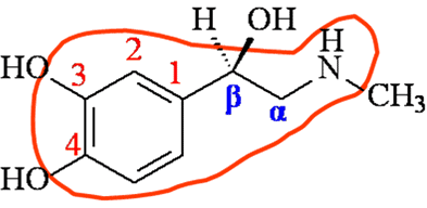 腎上腺素β-苯乙胺基本結構激動β2受體(平喘,改善微循環,25章)激動β