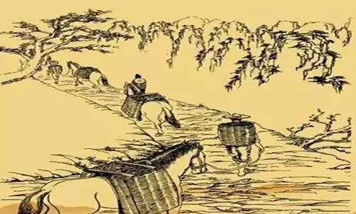 汉代古墓发现2200年前古茶叶,考古专家:绝无仅有的皇帝专用茶叶