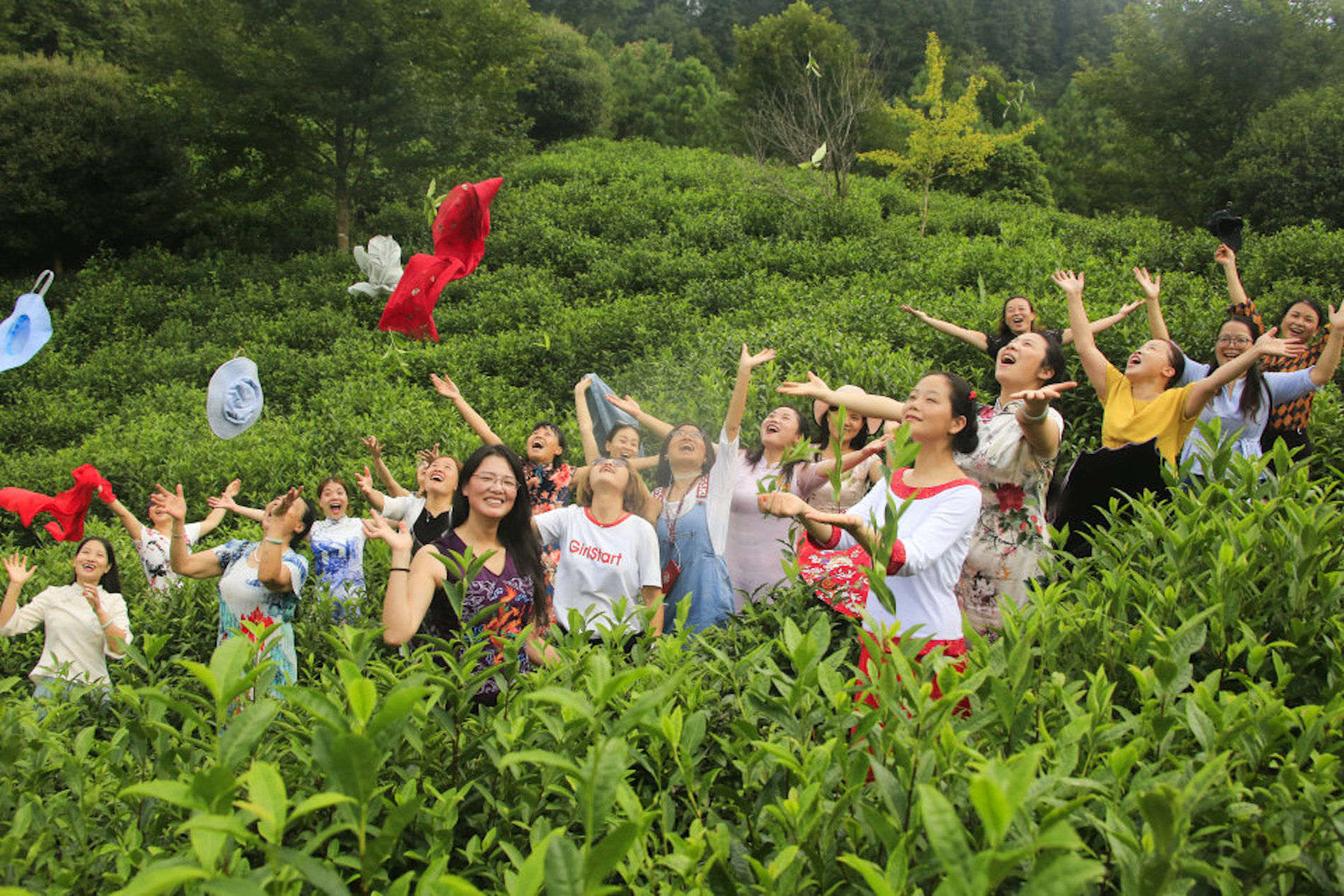 婺源大鄣山生態茶園裡治癒系綠茶