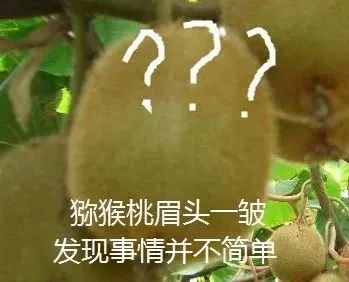 猕猴桃搞笑表情包图片