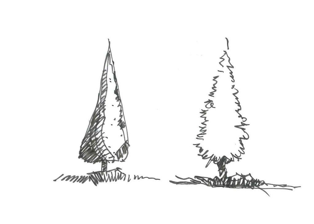 手绘教程植物景观表现之乔木表现