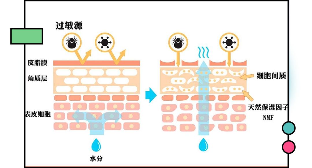 常见带来角质层氧化的因素