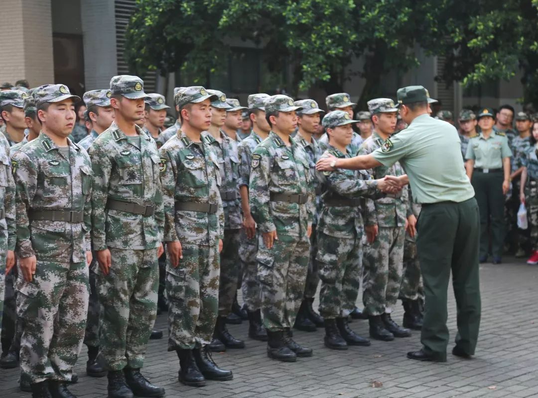 軍訓師師長,中國人民解放軍陸軍工程大學通信士官學校副校長王強大校