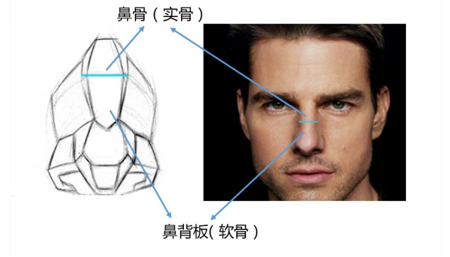 美是窄门—避免假体感的鼻梁修容法_结构