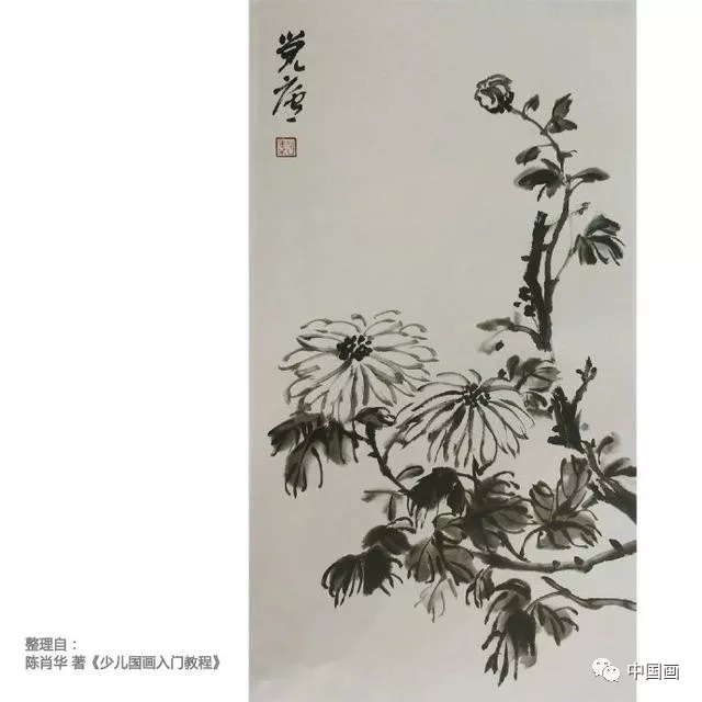 少兒國畫入門菊花的畫法網友成人也可以學