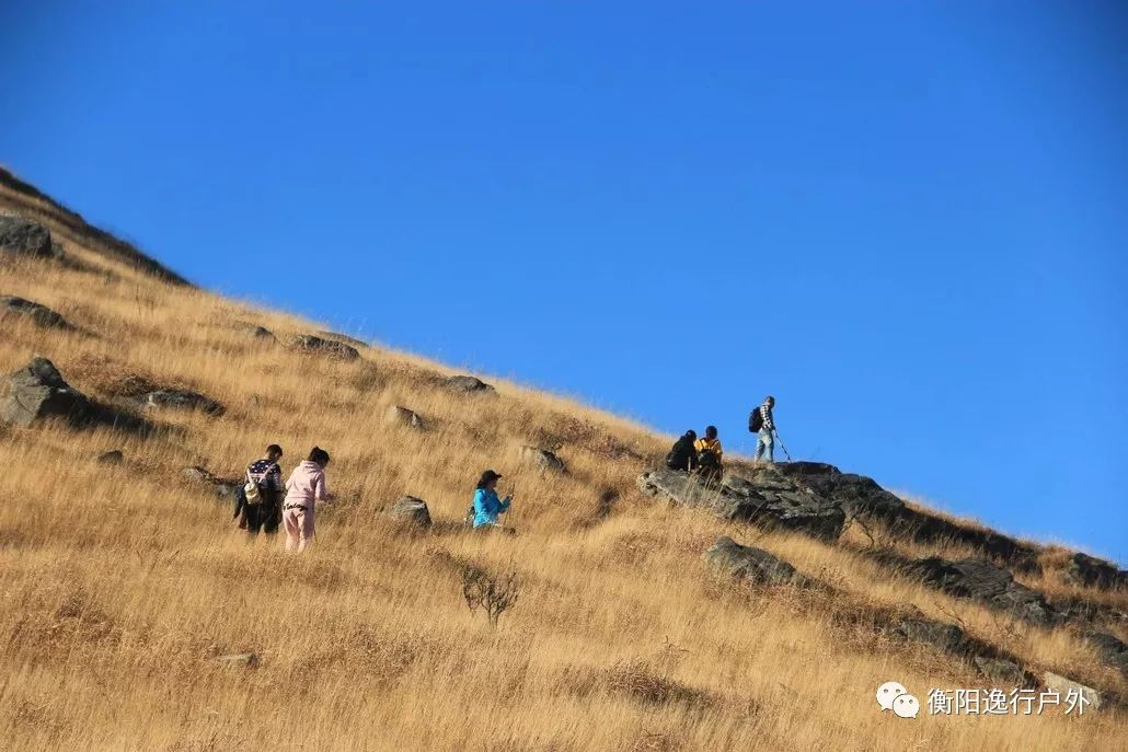 八面山,海拔2042米,湖南高峰排名第四,國家級自然保護區,亦是紅色旅遊