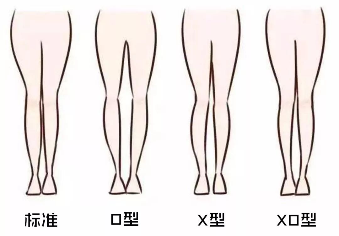 正常的腿型 标准图片