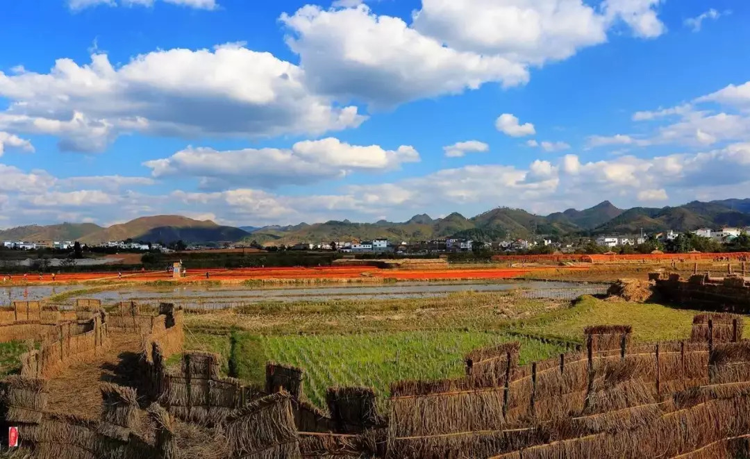 地址:黔南州惠水縣地捫侗寨走進寨子,層次分明,錯落有致,幽深曲徑