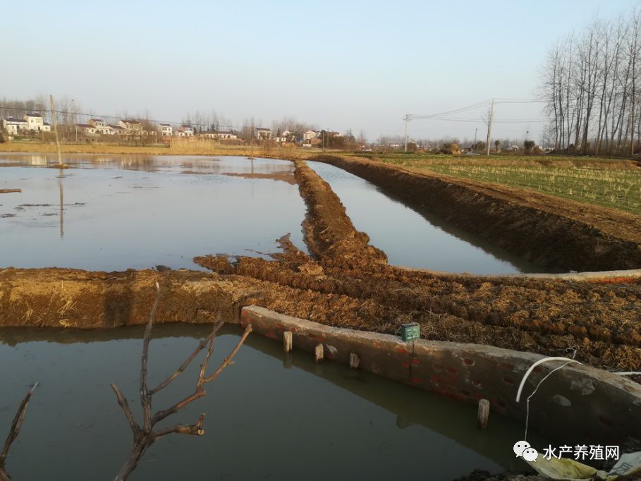 稻田塑料池埂图片