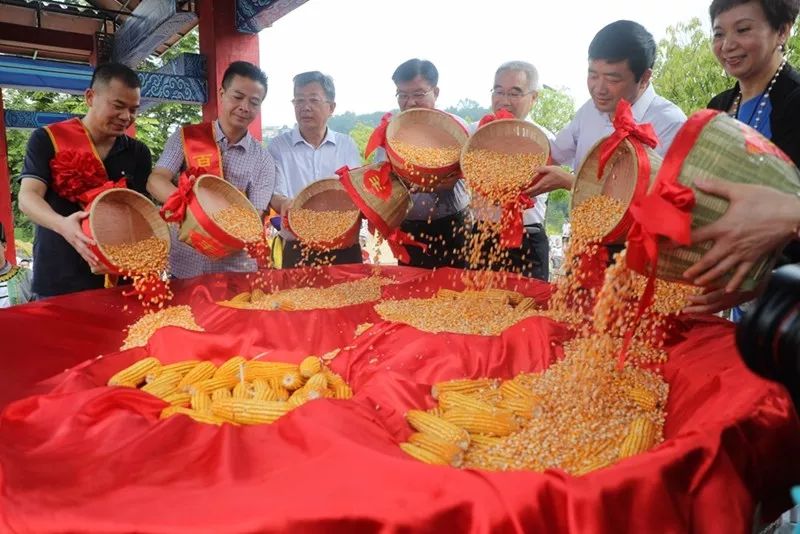 自治区农业厅,百色市有关负责同志以及农民代表同时向粮仓添粮,祈求